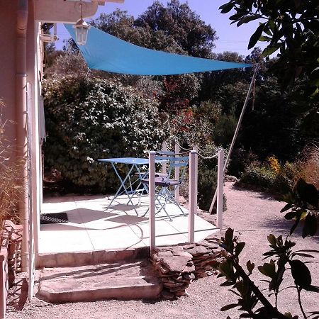 Appartamento Les Florides LʼIsle-sur-la-Sorgue Esterno foto