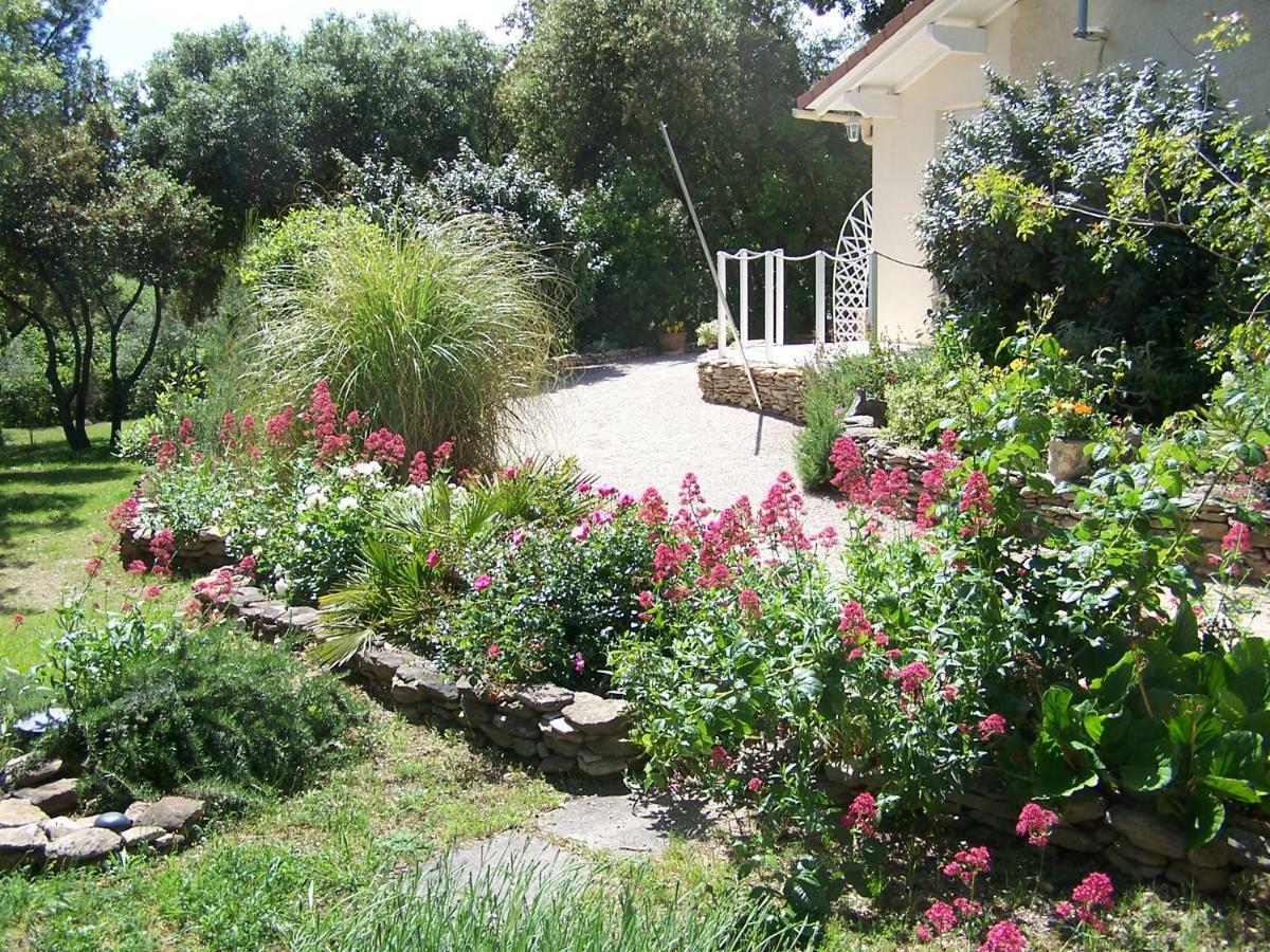 Appartamento Les Florides LʼIsle-sur-la-Sorgue Esterno foto